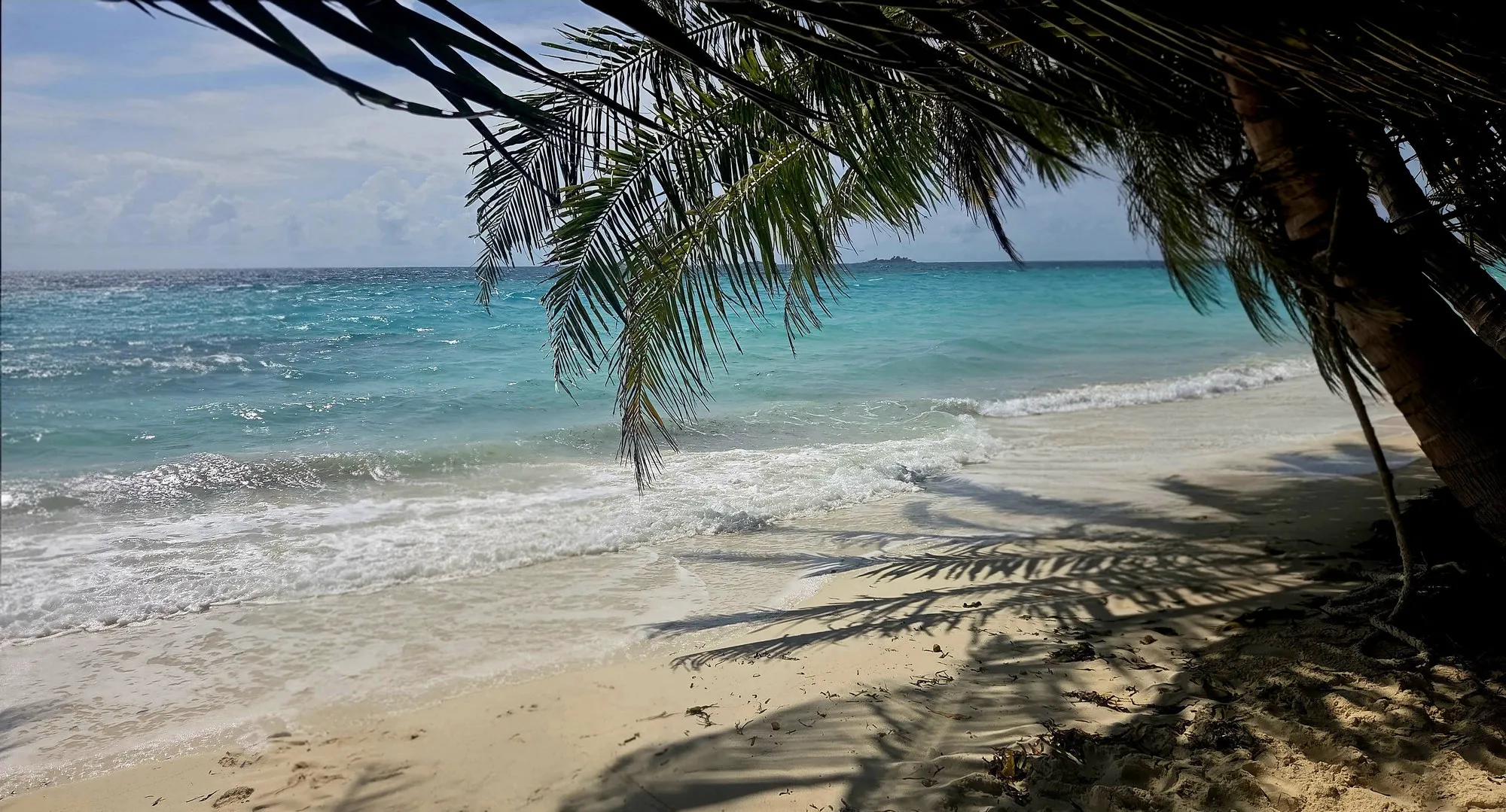 Palmwedel hängen über den hellen Sandstrand von Dhigurah, dahinter türkises Wasser und Brandung.