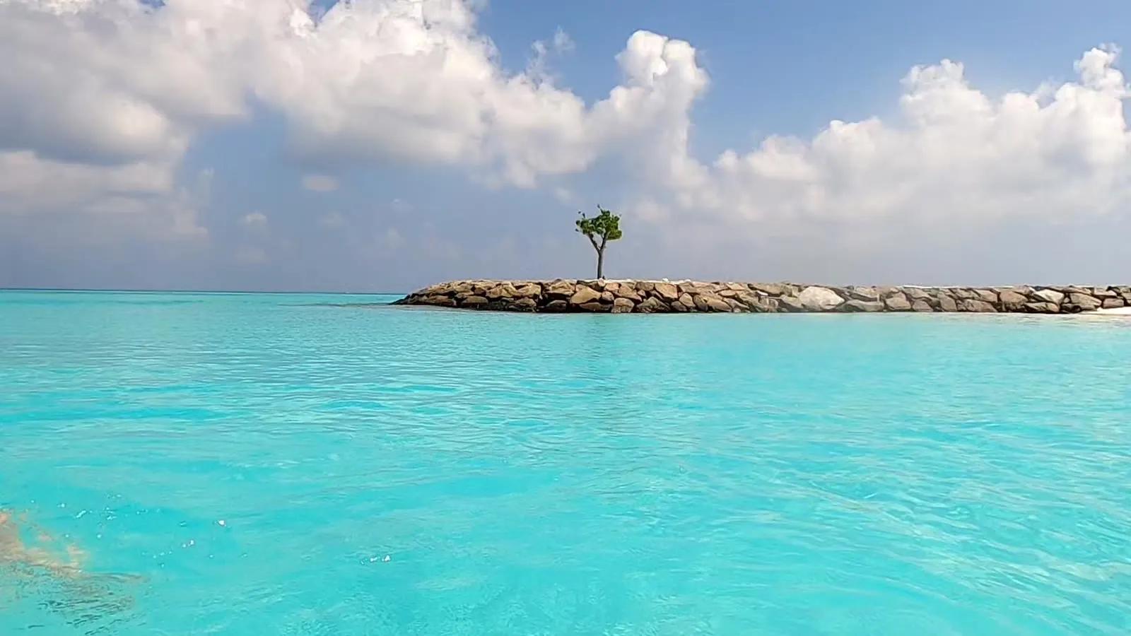 Türkisfarbenes Flachwasser am Bikini Beach von Fulidhoo, dahinter ein Steinwall mit einem einzelnen Baum.