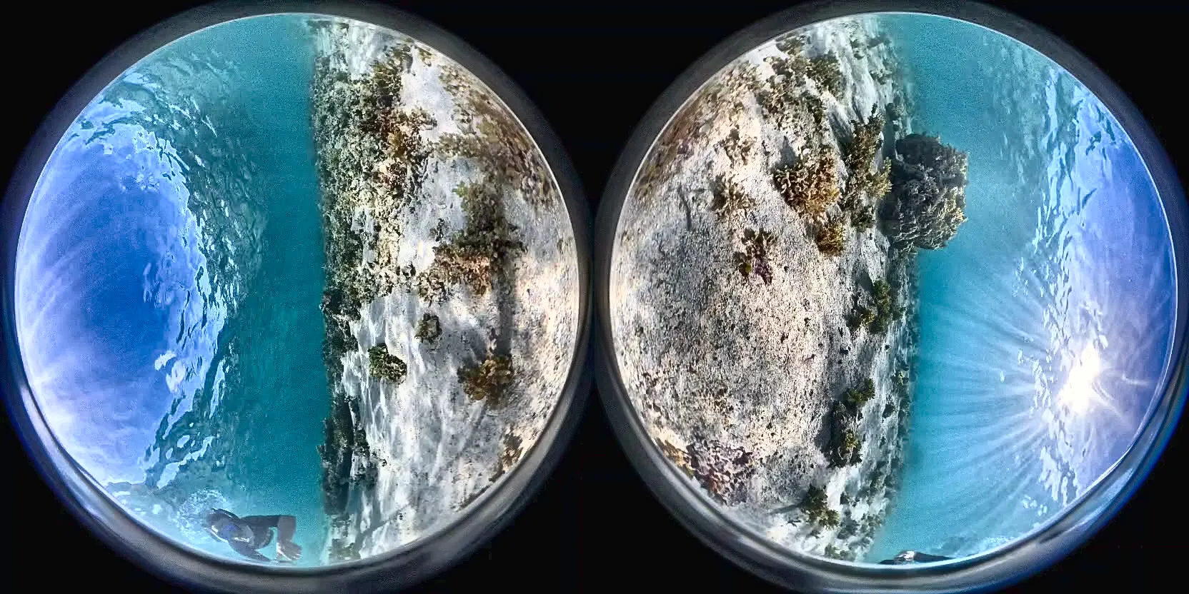 Unbearbeitete Insta360-Rohaufnahme: zwei kreisrunde Fischaugen-Bilder eines Korallenriffs nebeneinander.