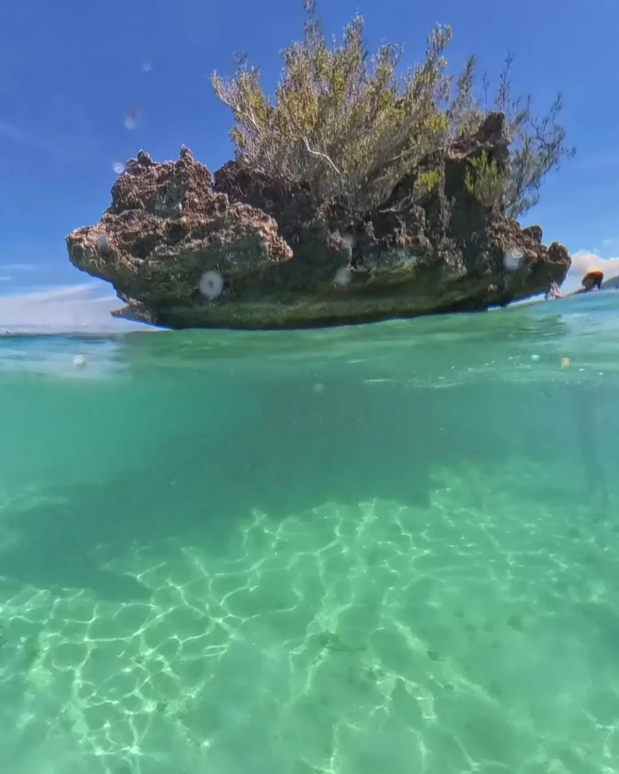 Der Crystal Rock über der Wasserlinie, darunter der helle Sandgrund mit dem Lichtnetz der Sonne