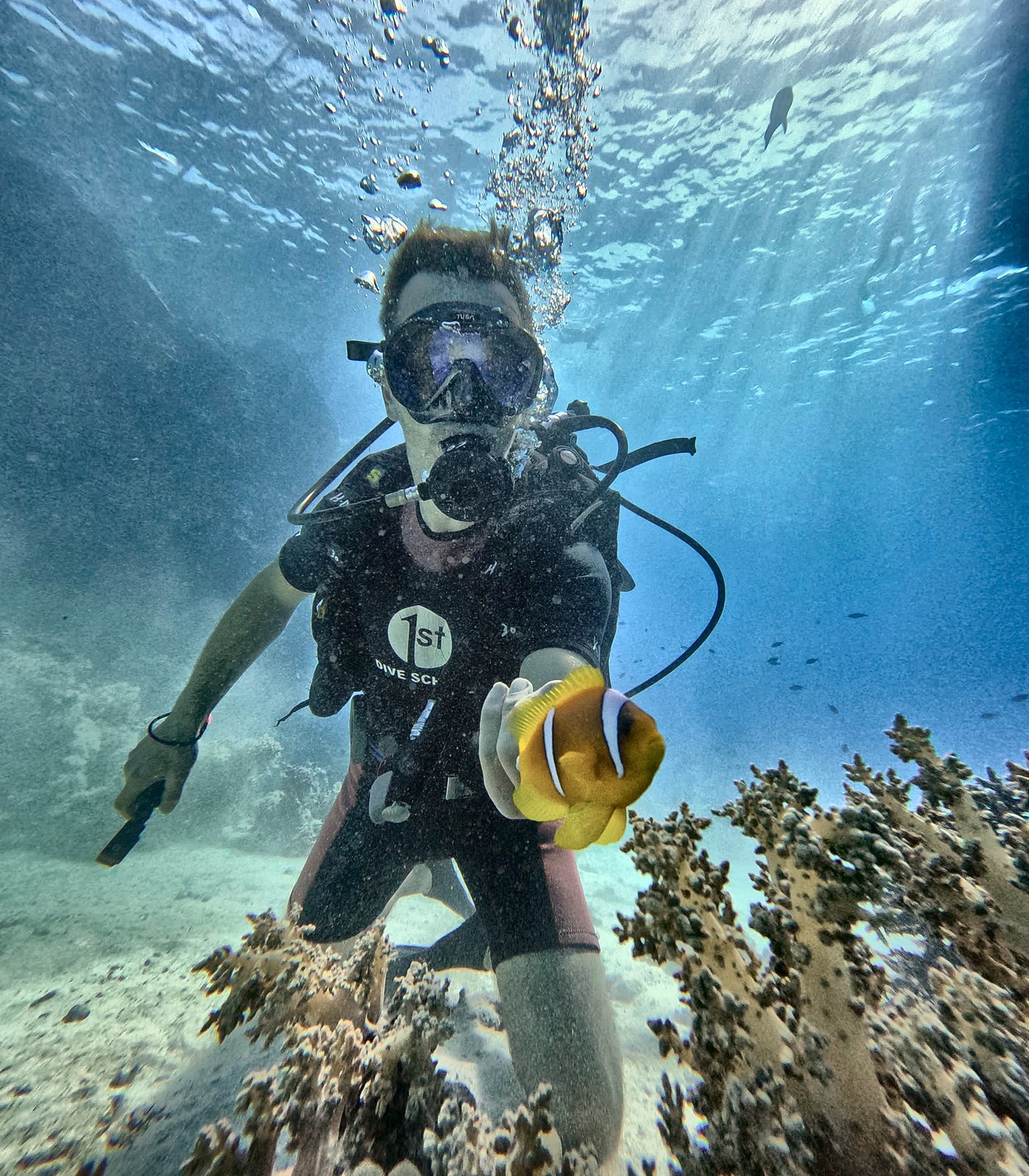 Taucher mit Atemregler und Maske über dem Riff, im Vordergrund ein gelb-weißer Rotmeer-Anemonenfisch