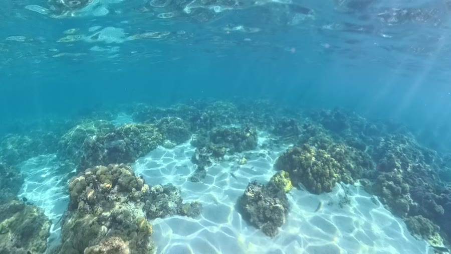 Sandiger Grund mit verstreuten Korallenblöcken und Lichtnetzen im flachen Wasser vor Flic en Flac