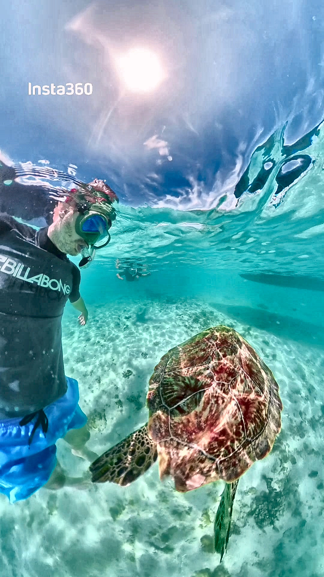 Schnorchler neben einer großen Meeresschildkröte im flachen, türkisen Lagunenwasser auf Mauritius